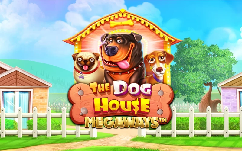 Prueba The Dog House Megaways con alta volatilidad en el sitio oficial 1Win.